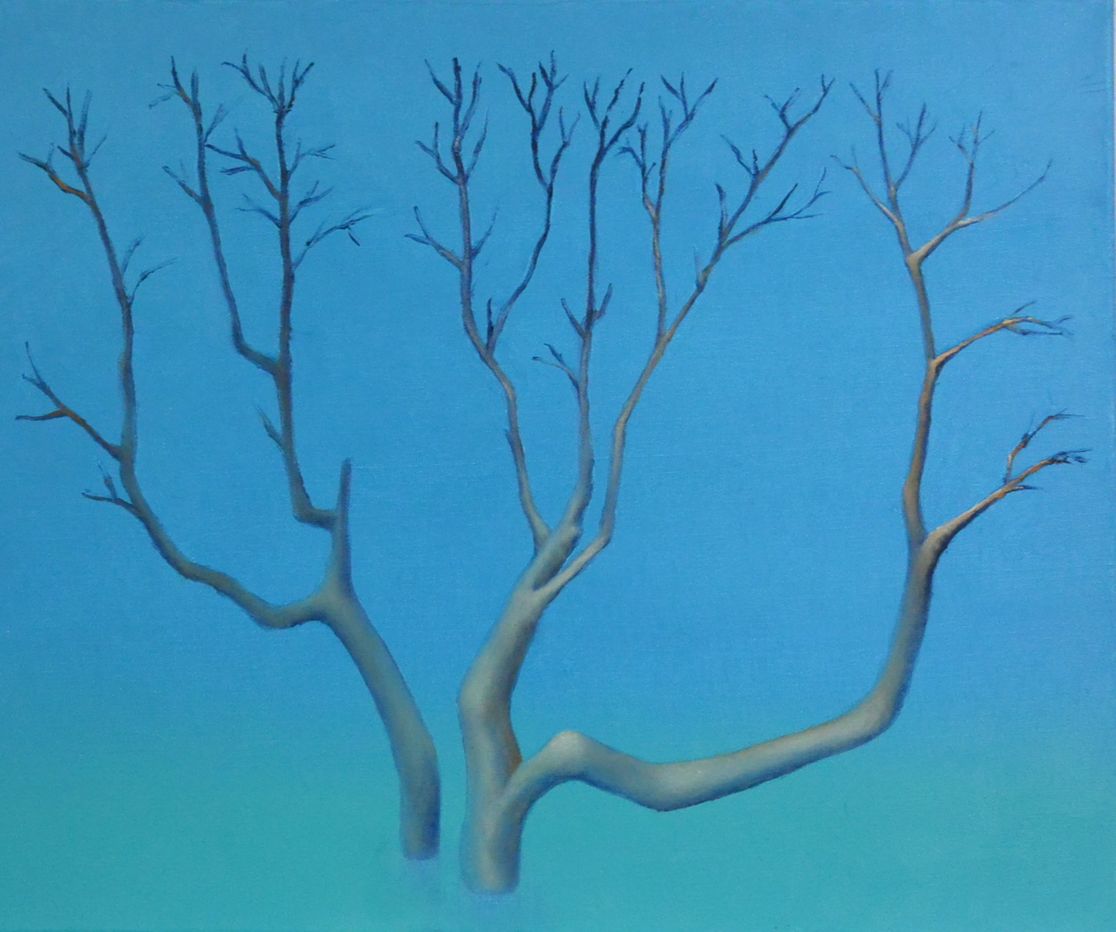 arktisk bjørk 2, olje på lerret, 50x60, 2016, solgt