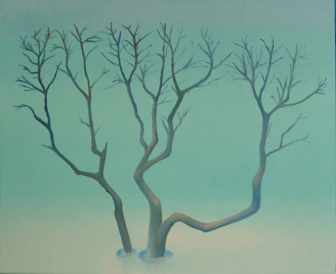 arktisk bjørk 3, olje på lerret, 50x60, 2016, solgt