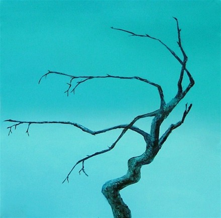 Arktisk bjørk, olje på lerret, 40x40, 2010, solgt