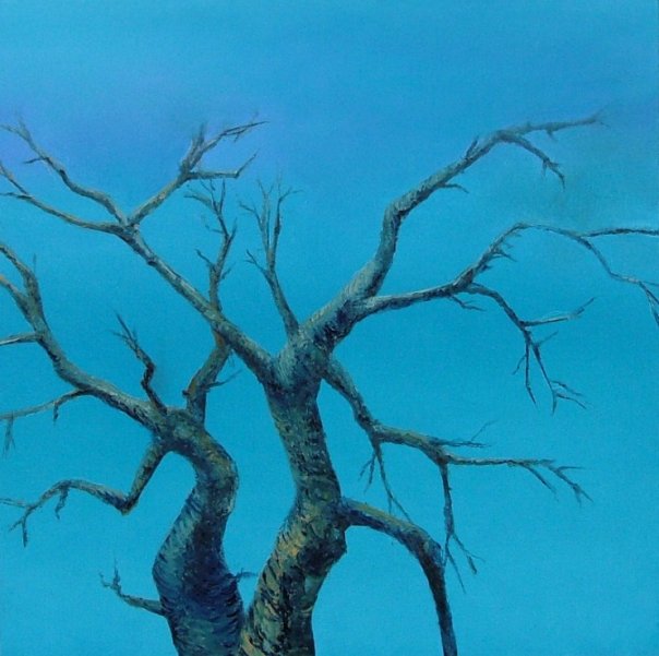 betula tortuosa, olje på lerret,  60x60, 2010 solgt