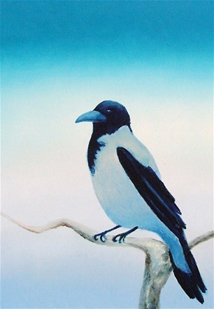 Kråke, olje på lerret, 70x50, 2010, solgt