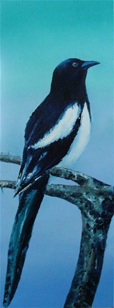 skire, 80x30, olje på lerret, 2010, solgt